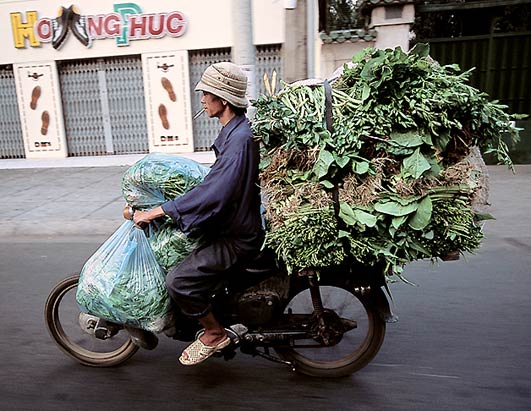 Transportes Estupidos 13